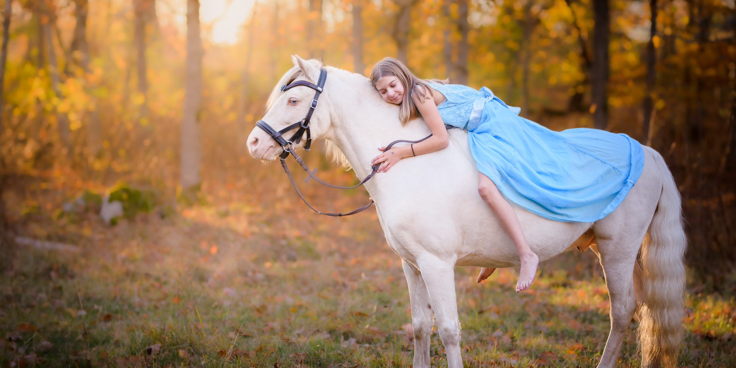 Cremello, Hästfotografering, Egoboost, Poträtt Fotograf Växjö,